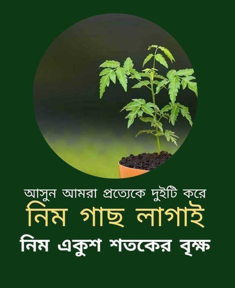 একটি পরিপূর্ণ নিম গাছ প্রায় ১০ টন এসির সমপরিমাণ ঠান্ডা রাখে তার চারপাশের বাতাসকে