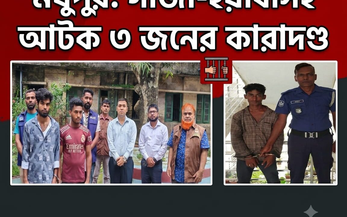 মধুপুরে গাঁজা-ইয়াবাসহ আটক ৩ জনকে বিভিন্ন মেয়াদে কারাদণ্ড