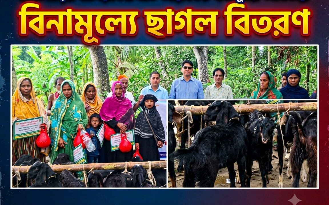 বালিয়াকান্দিতে আয়বর্ধক কর্মসূচির আওতায় বিনামূল্যে ছাগল বিতরণ