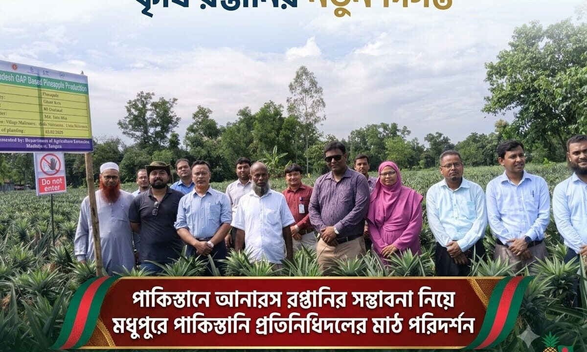 পাকিস্তানে আনারস রপ্তানির সম্ভাবনা  নিয়ে  মধুপুরে পাকিস্তানি প্রতিনিধিদলের মাঠ পরিদর্শন