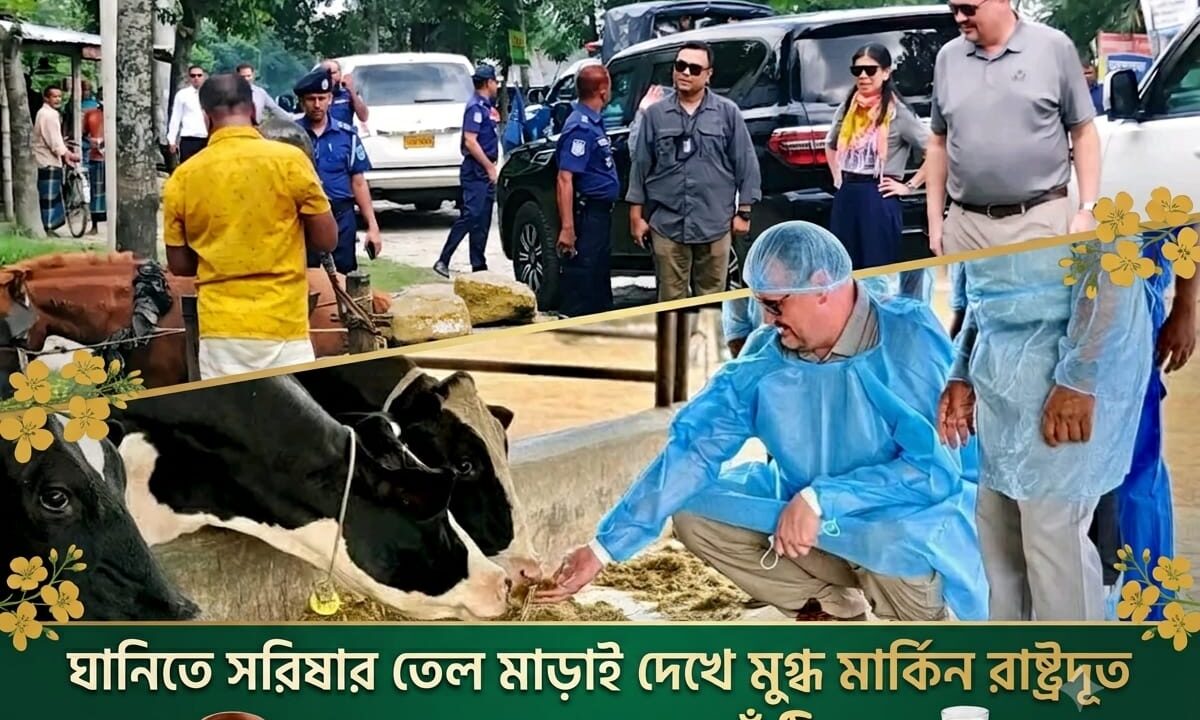 ঘানিতে সরিষার তেল মাড়াই দেখে মুগ্ধ মার্কিন রাষ্ট্রদূত, খামার ঘুরে খেলেন খাঁটি দুধ
