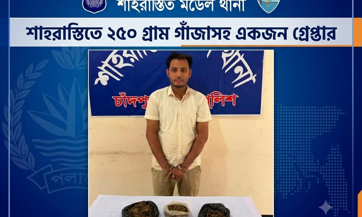 শাহরাস্তিতে ২৫০ গ্রাম গাঁজাসহ একজন গ্রেপ্তার
