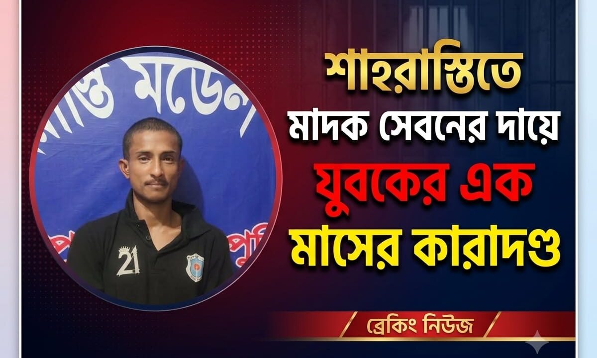শাহরাস্তিতে মাদক সেবনের দায়ে যুবকের এক মাসের কারাদণ্ড