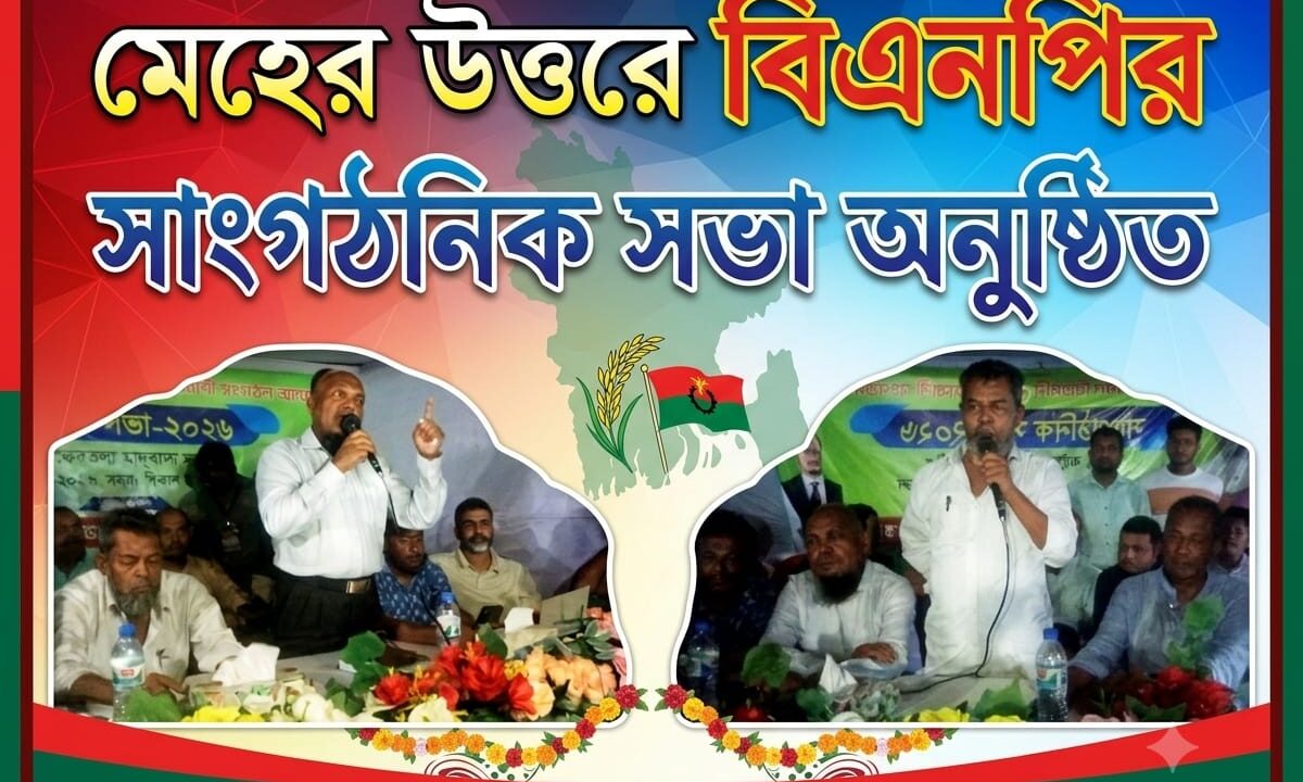 মেহের উত্তরে বিএনপির সাংগঠনিক সভা অনুষ্ঠিত