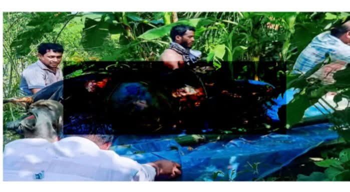 শাহরাস্তিতে আগুনে পুড়ে ৩ গরুর মৃত্যু, হৃদরোগে আক্রান্ত খামারি